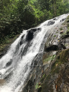 96B27D88-6979-46F6-8B52-203C649229D0