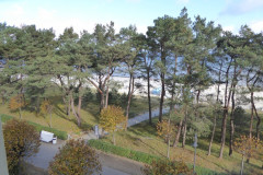 Binz