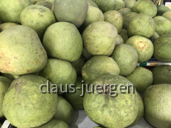 3CD3DB64-393E-4F14-B452-9FEDC44C7471