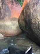 9256F3F6-E28E-4DB5-8933-98E19EE490DB