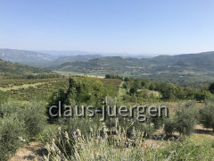 Wanderung Motovun 09 (19)