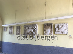Wanderung Motovun 09 (42)