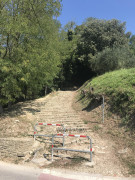 Wanderung Motovun 09 (27)