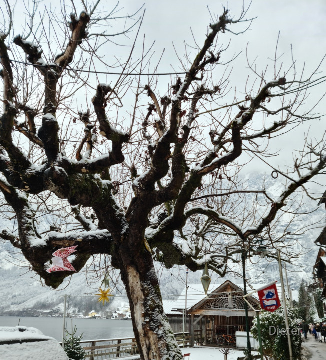 Hallstatt im Dezember