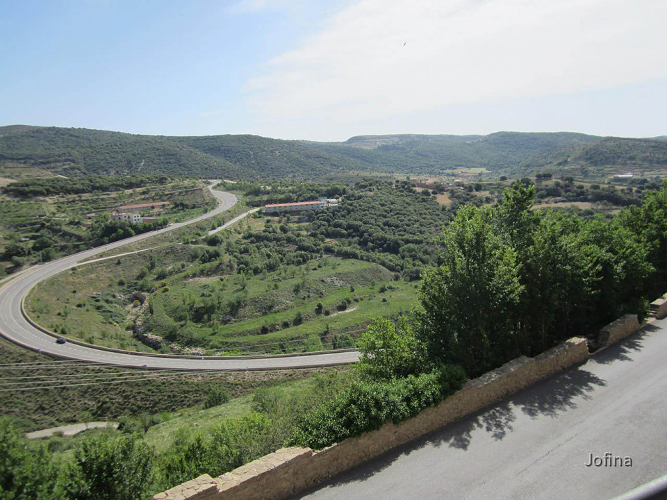 Morella  01