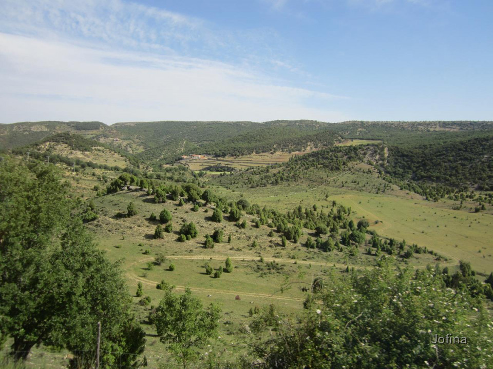 Morella  04