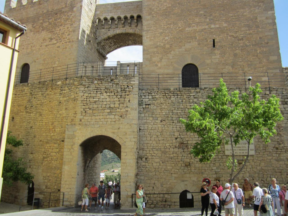 Morella  08
