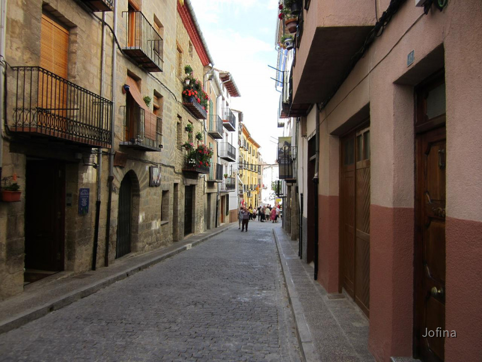 Morella  12