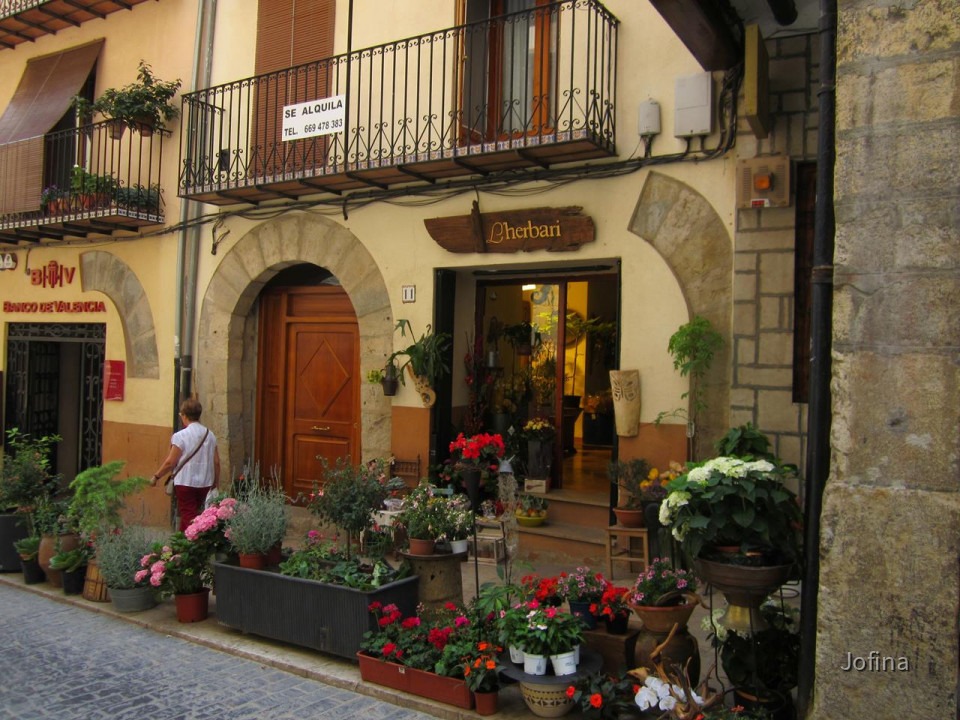 Morella  13
