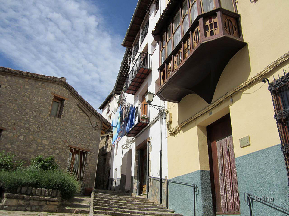 Morella  15
