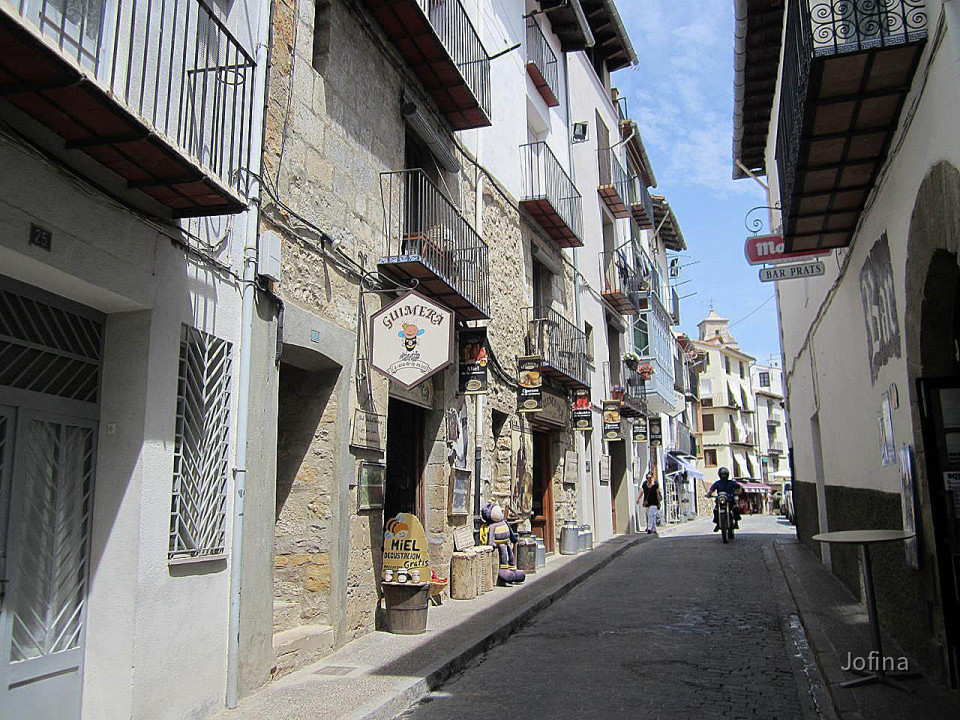 Morella  16
