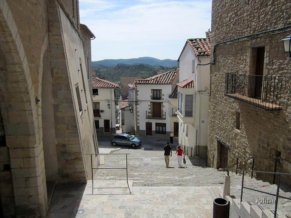 Morella  21