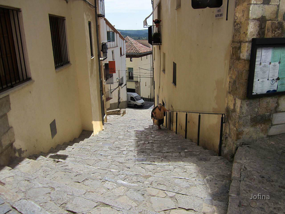 Morella  23