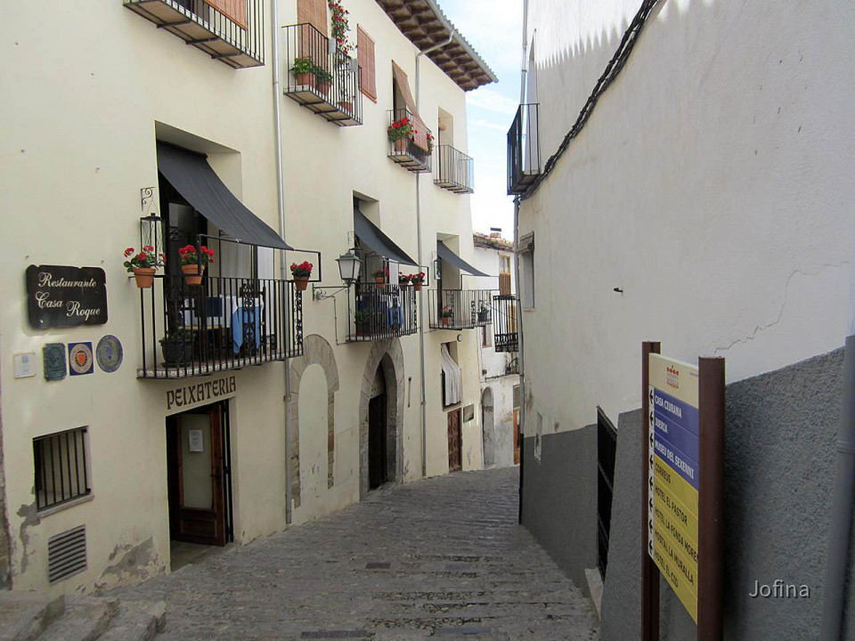 Morella  24