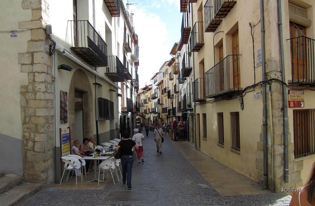 Morella  29