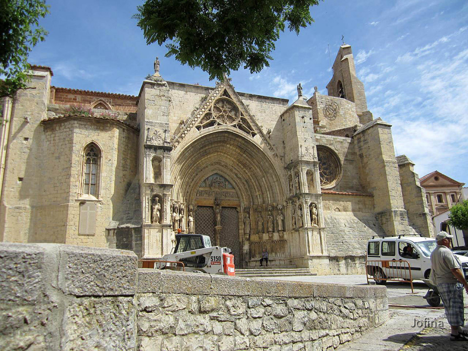 Morella  31