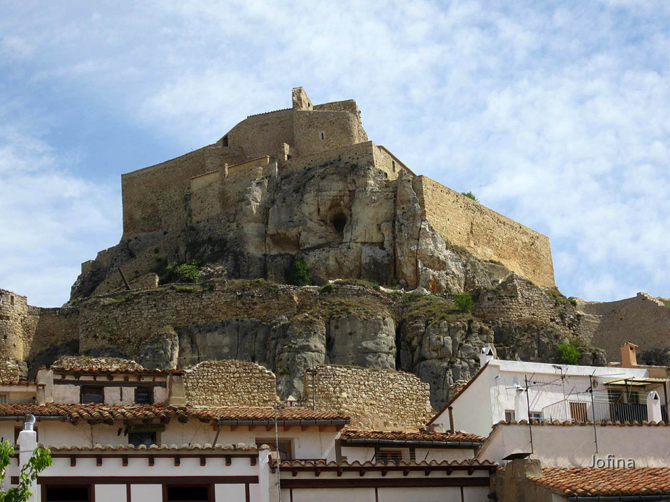 Morella  40