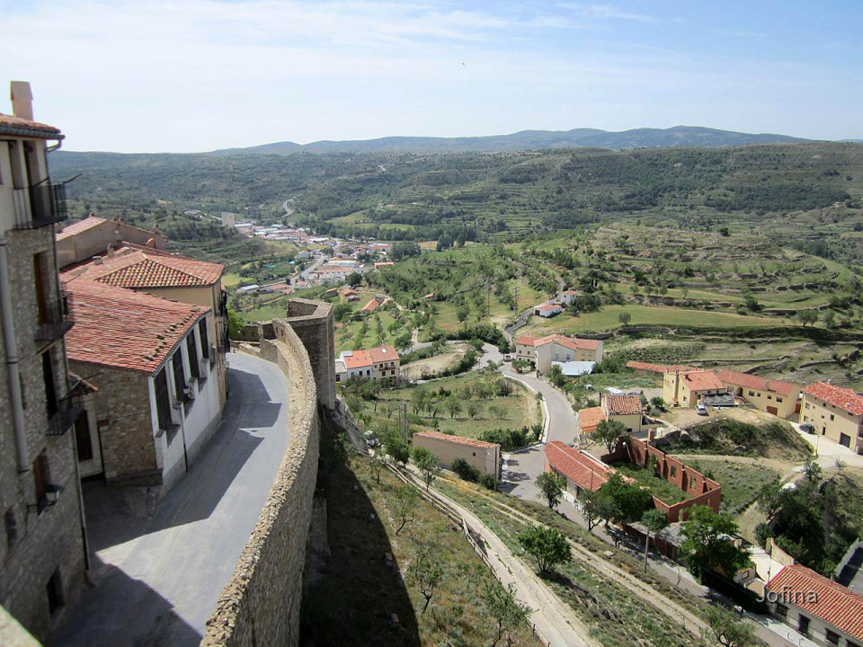 Morella  41