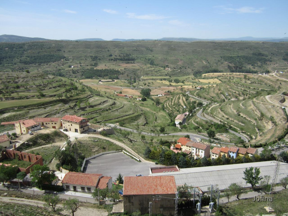 Morella  43