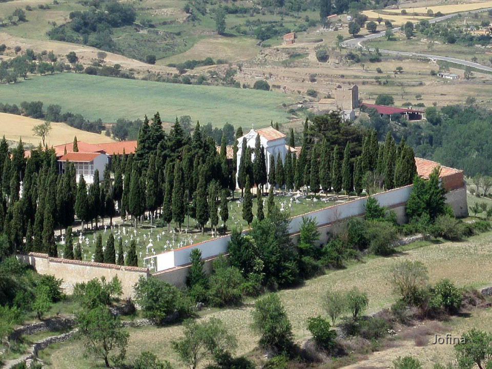Morella  45