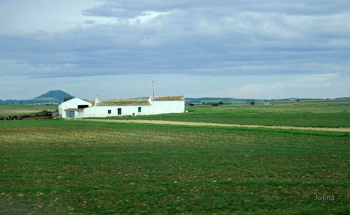 Landschaft Albacete 05