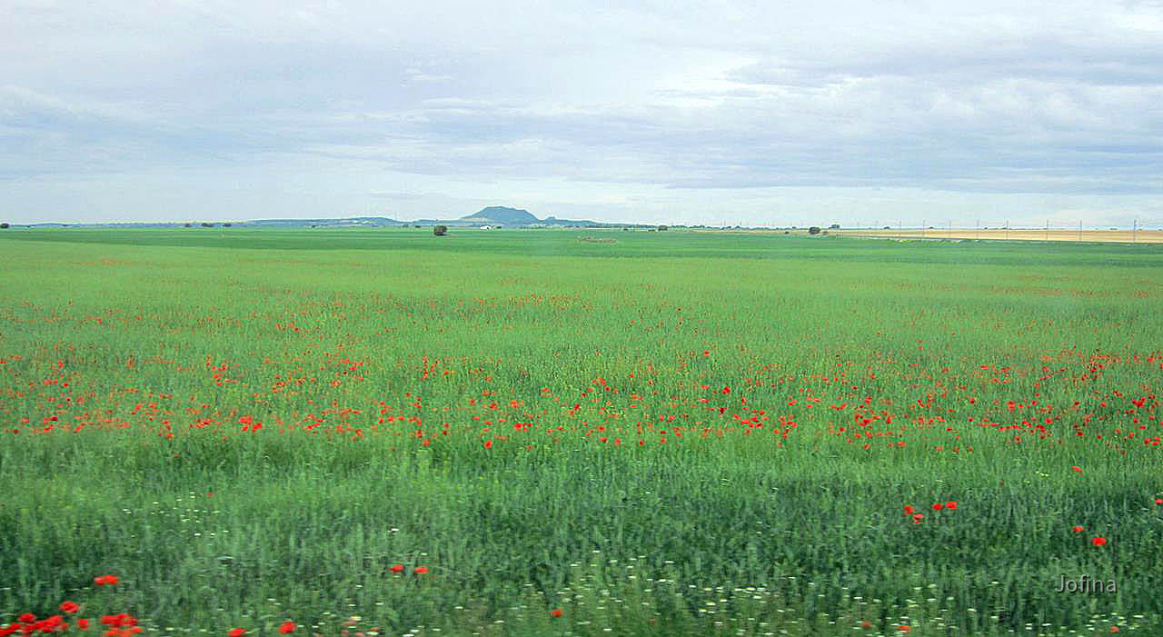Landschaft Albacete 06