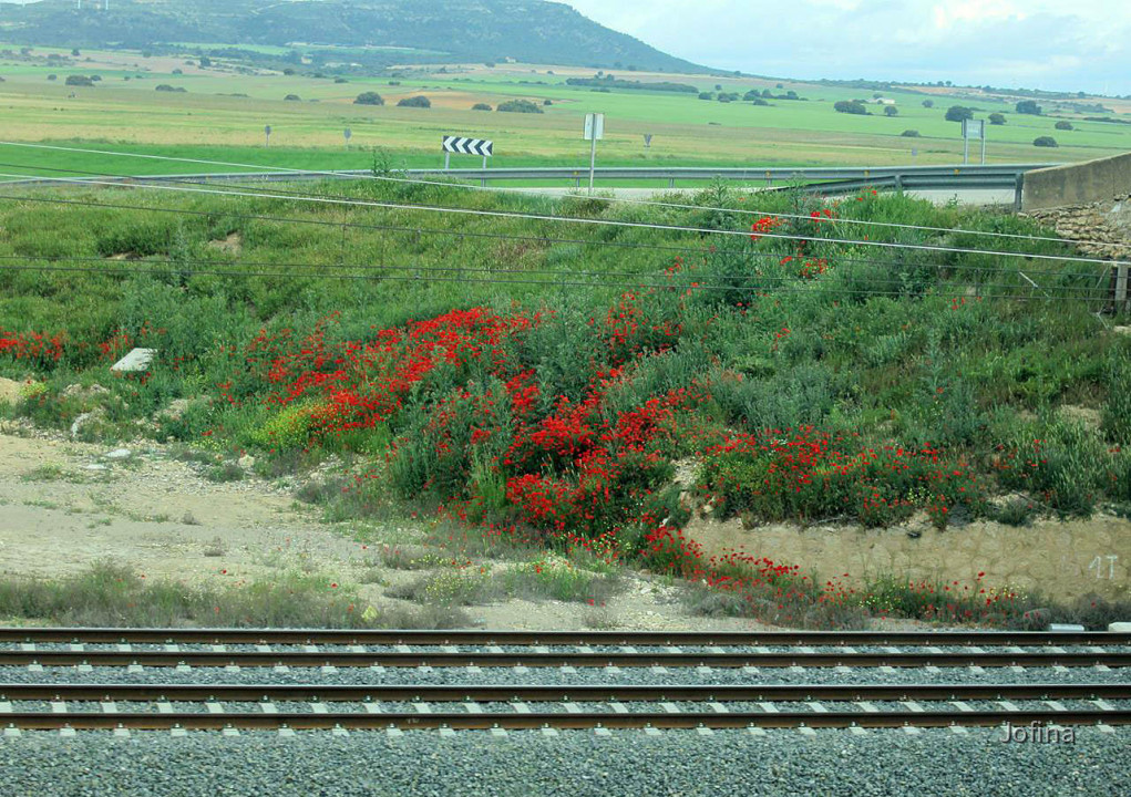 Landschaft Albacete 07