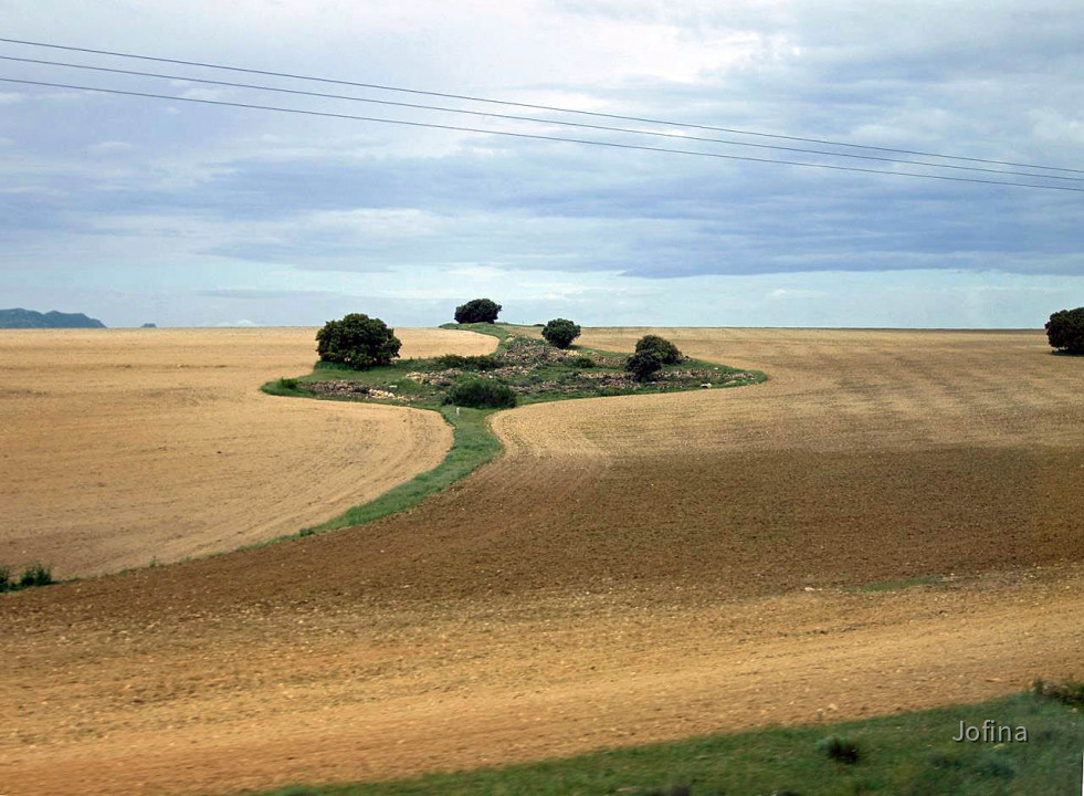 Landschaft Albacete 10