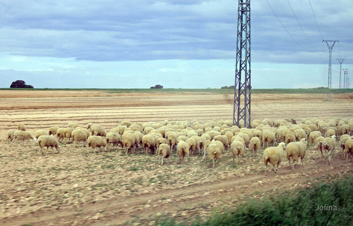 Landschaft Albacete 11
