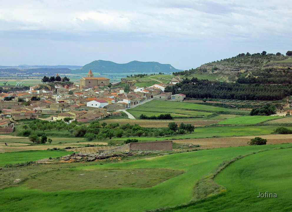 Landschaft Albacete 15