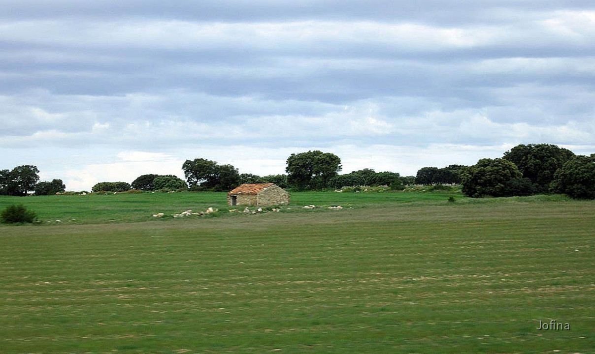 Landschaft Albacete 17