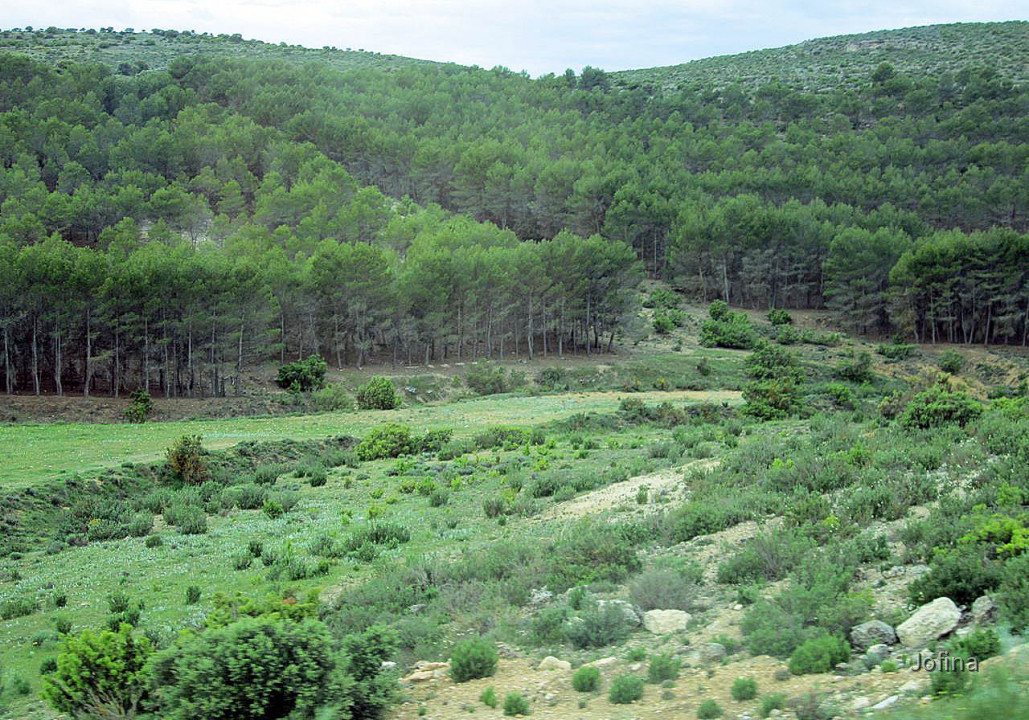 Landschaft Albacete 18