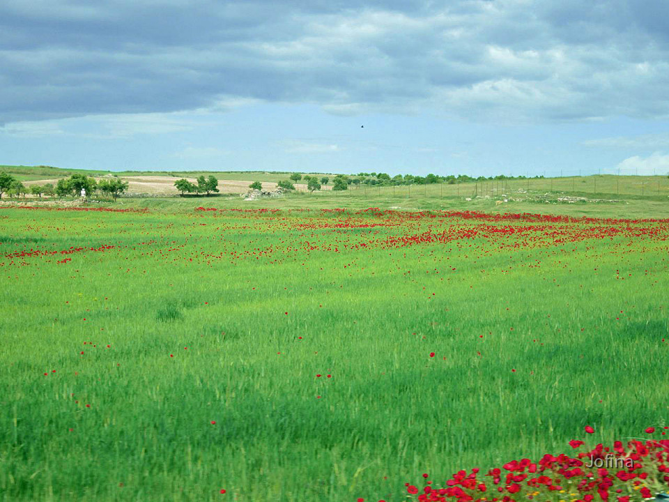 Landschaft Albacete 19