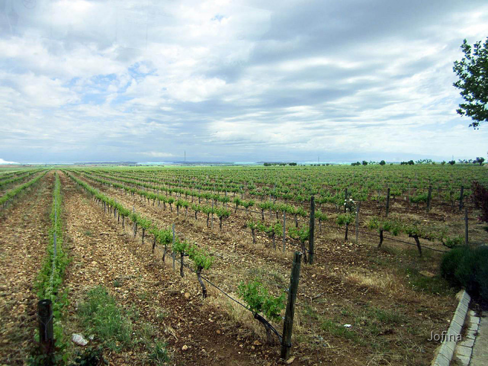 Landschaft Albacete 22