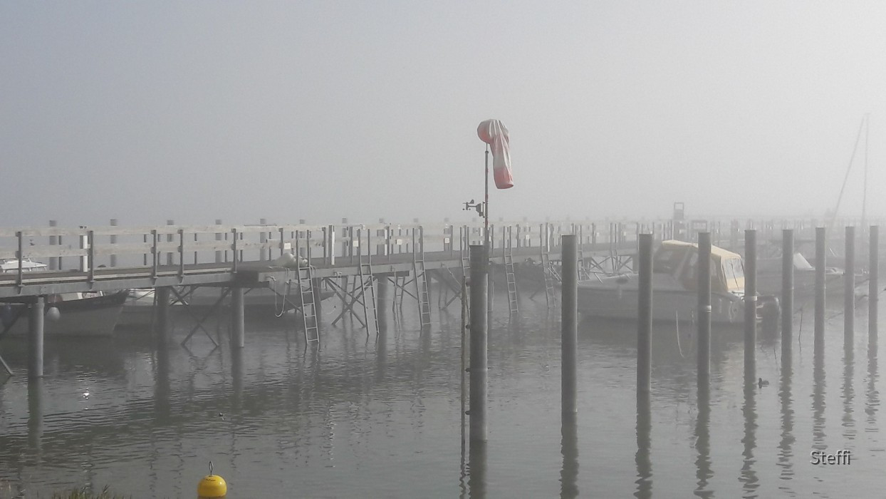 Fährterminal Gaienhofen Nebel