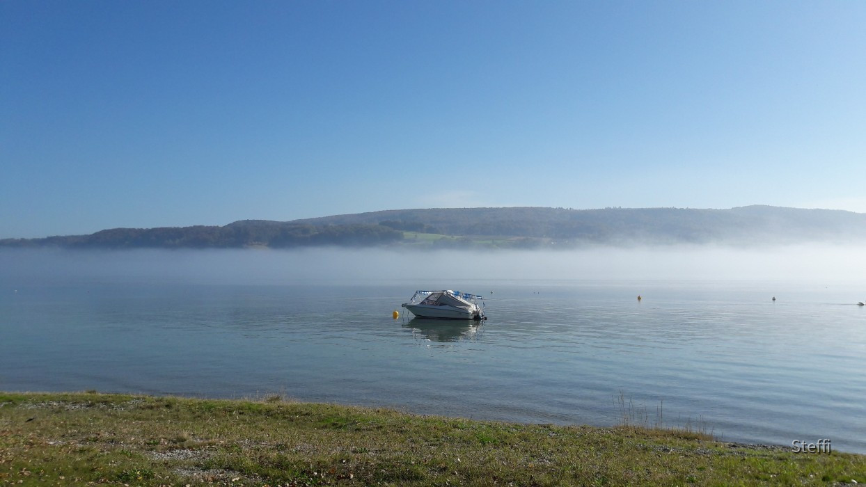 Gaienhofen Nebel gegenüber Schweiz Südufer Untersee