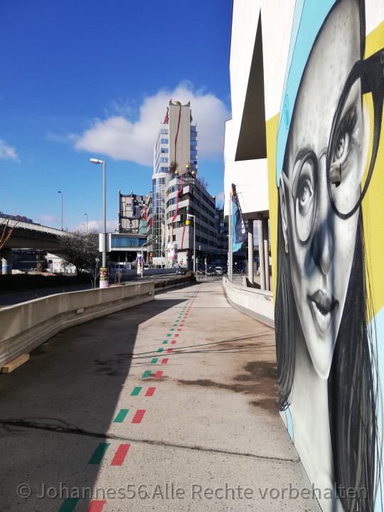 Mandelbaumblüte Wien