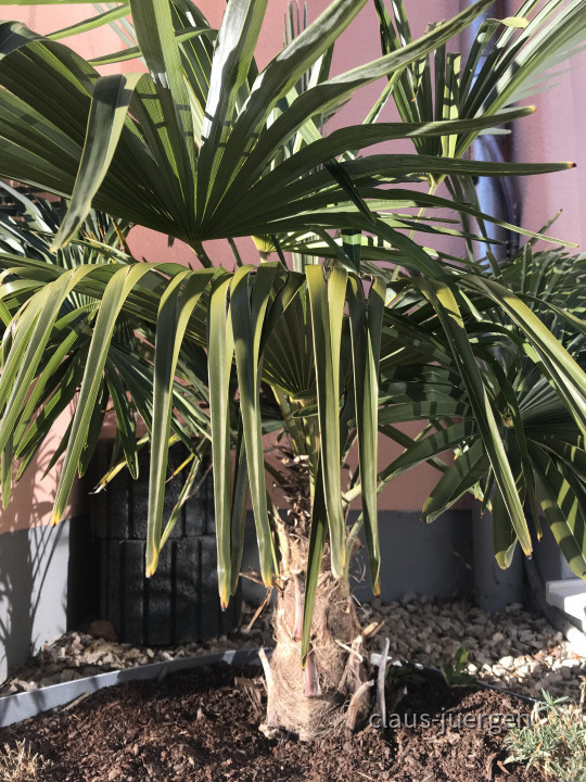 ?random=0&maxWidth=0&embedded=0#imageAnker_73245