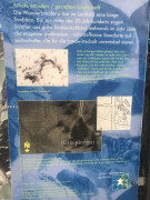 929D47A3-F7F6-475D-A4D1-4FA2D4189E52