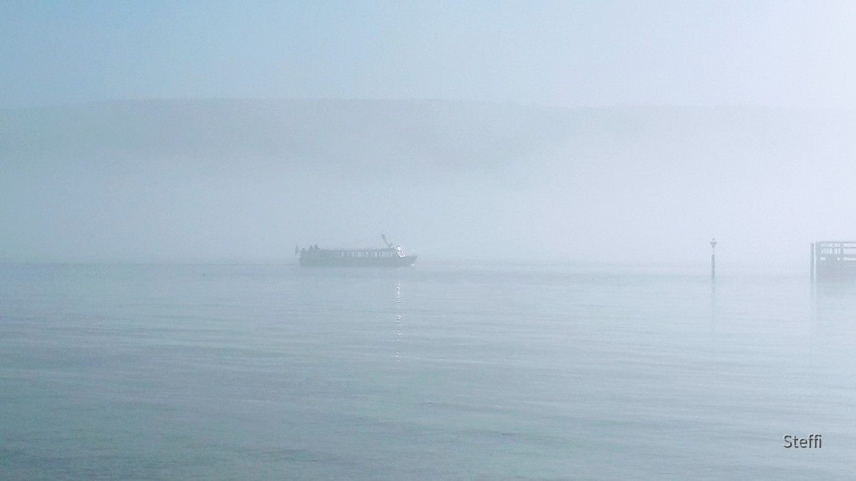 Gaienhofen Nebel gegenüber Schweiz Südufer Untersee