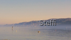 Gaienhofen Nebel gegenüber Schweiz Südufer Untersee