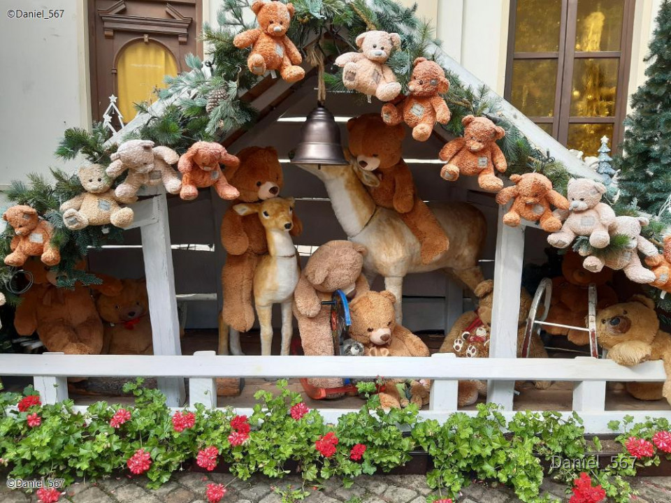 18_Karlovy Vary Teddymuseum
