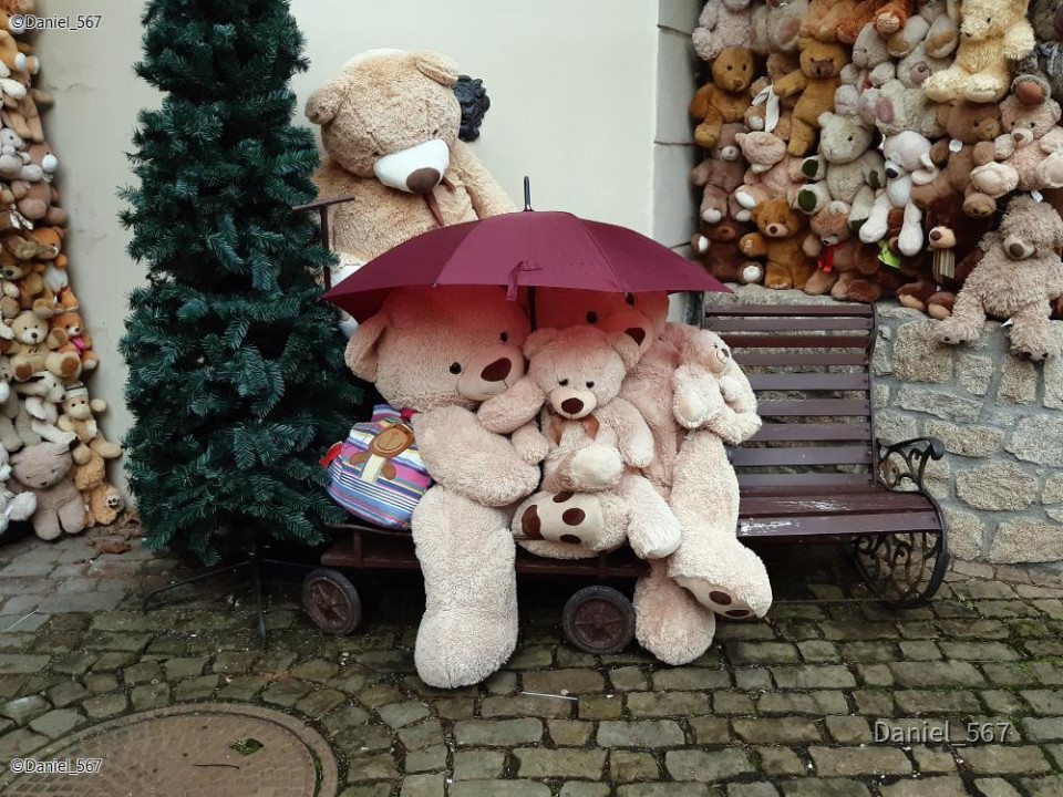 20_Karlovy Vary Teddymuseum