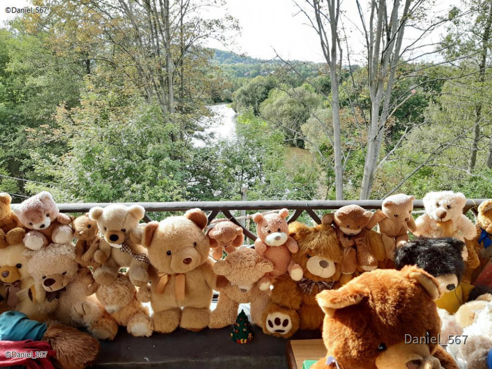 21_Karlovy Vary Teddymuseum