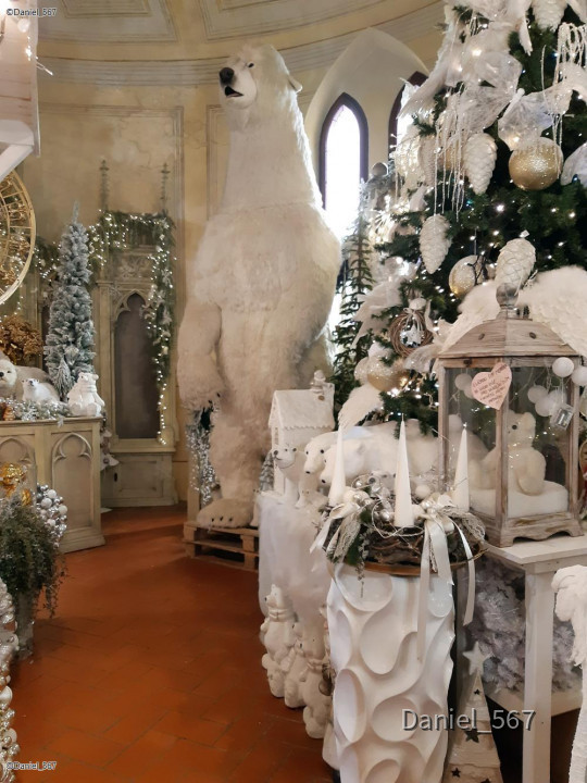 29_Karlovy Vary Teddymuseum