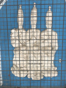 95F9A81F-0693-4009-A4BB-A10A5E111066