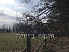 29880601-7982-49ED-8AB2-5A9F056C2568
