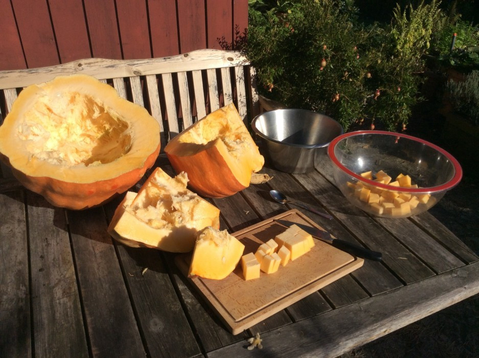 Kürbisfest