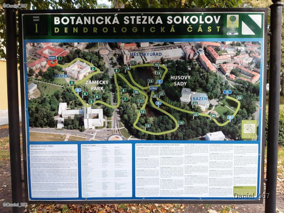 18_Sokolov