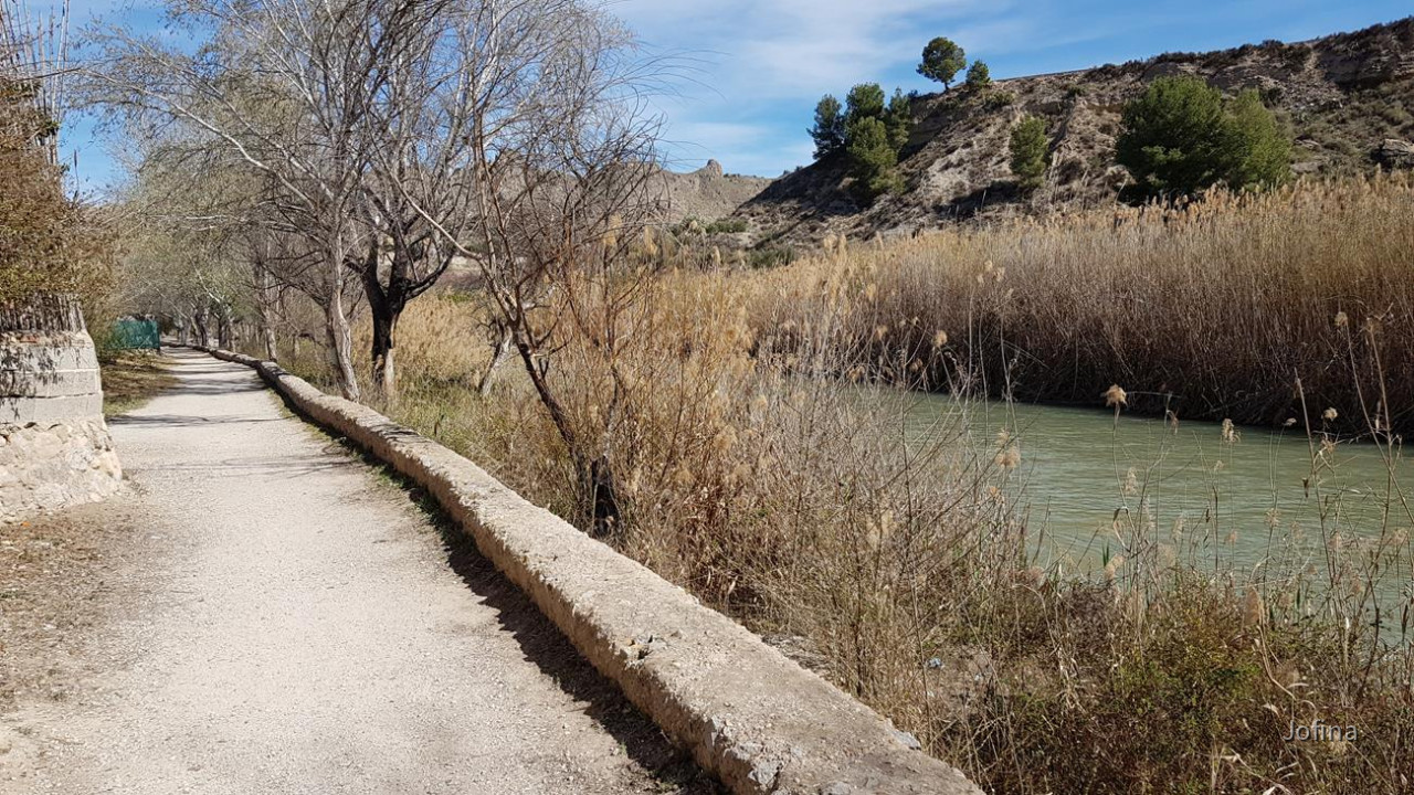 Abarán 19